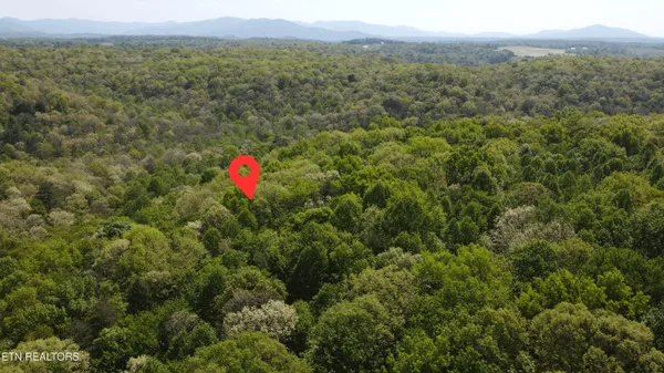 $220,000 | 391 Ridge Road, Lancing, TN 37770