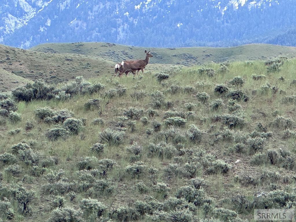 381 Carmen Creek Road Carmen, ID 83462 - Photo 45 of 54