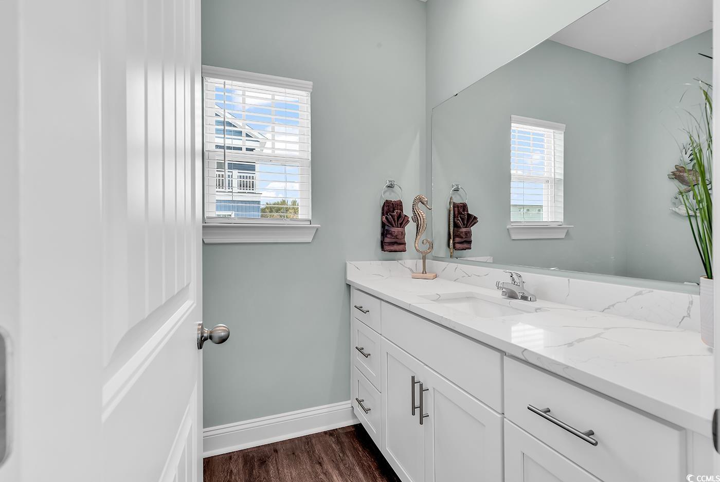 306 6th Avenue North Myrtle Beach, SC 29577 - Photo 10 of 28 Half bath with healthy amount of natural light, vanity, and dark wood-style flooring