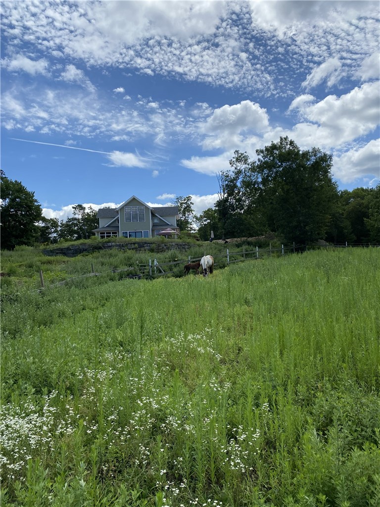 224 Greenhouse Road Coventry, RI 02827 - Photo 44 of 44 Back Pasture