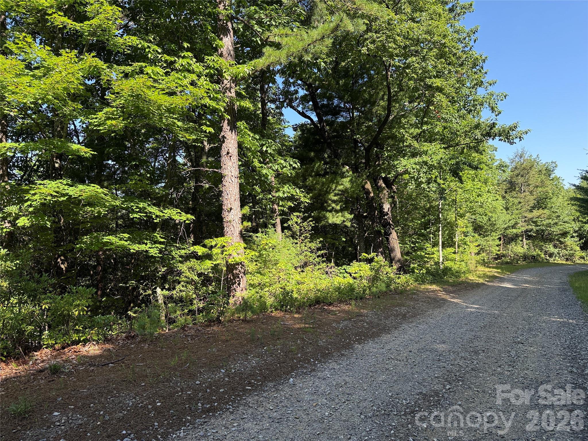 Tbd Blue Rock Road, Unit 171 & 172B Purlear, NC 28665 - Photo 6 of 44