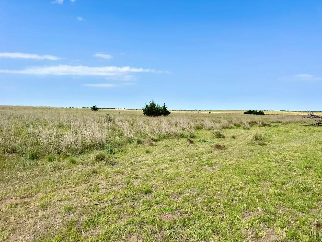 County Road Mobeetie, TX 79061 - Photo 14 of 27 1-5258395435