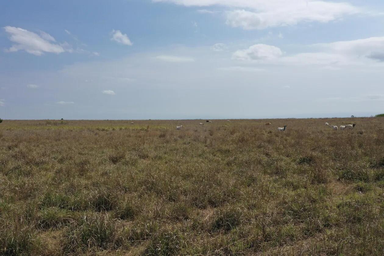 County Road Mobeetie, TX 79061 - Photo 18 of 27 1-5258395482