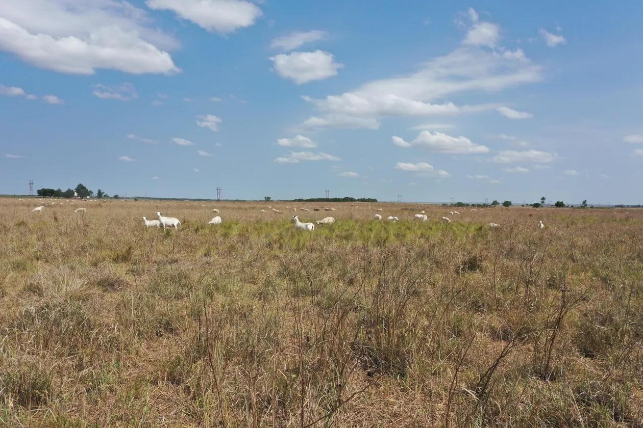 County Road Mobeetie, TX 79061 - Photo 22 of 27 1-5258395486