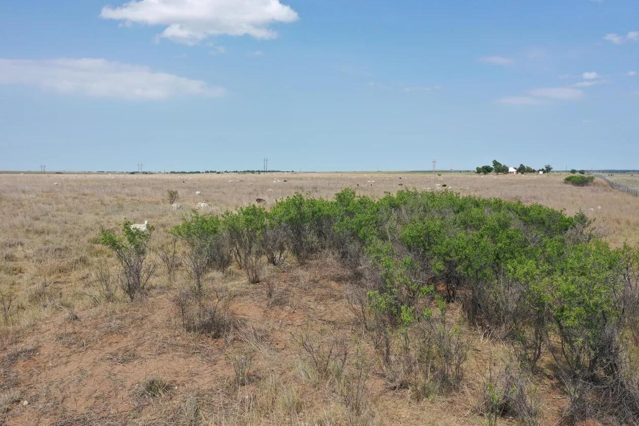 County Road Mobeetie, TX 79061 - Photo 24 of 27 1-5258395488