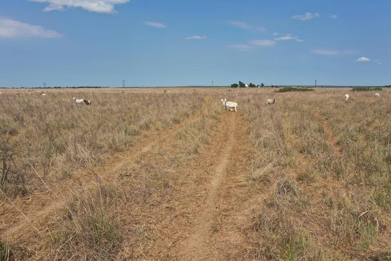 County Road Mobeetie, TX 79061 - Photo 26 of 27 1-5258395490