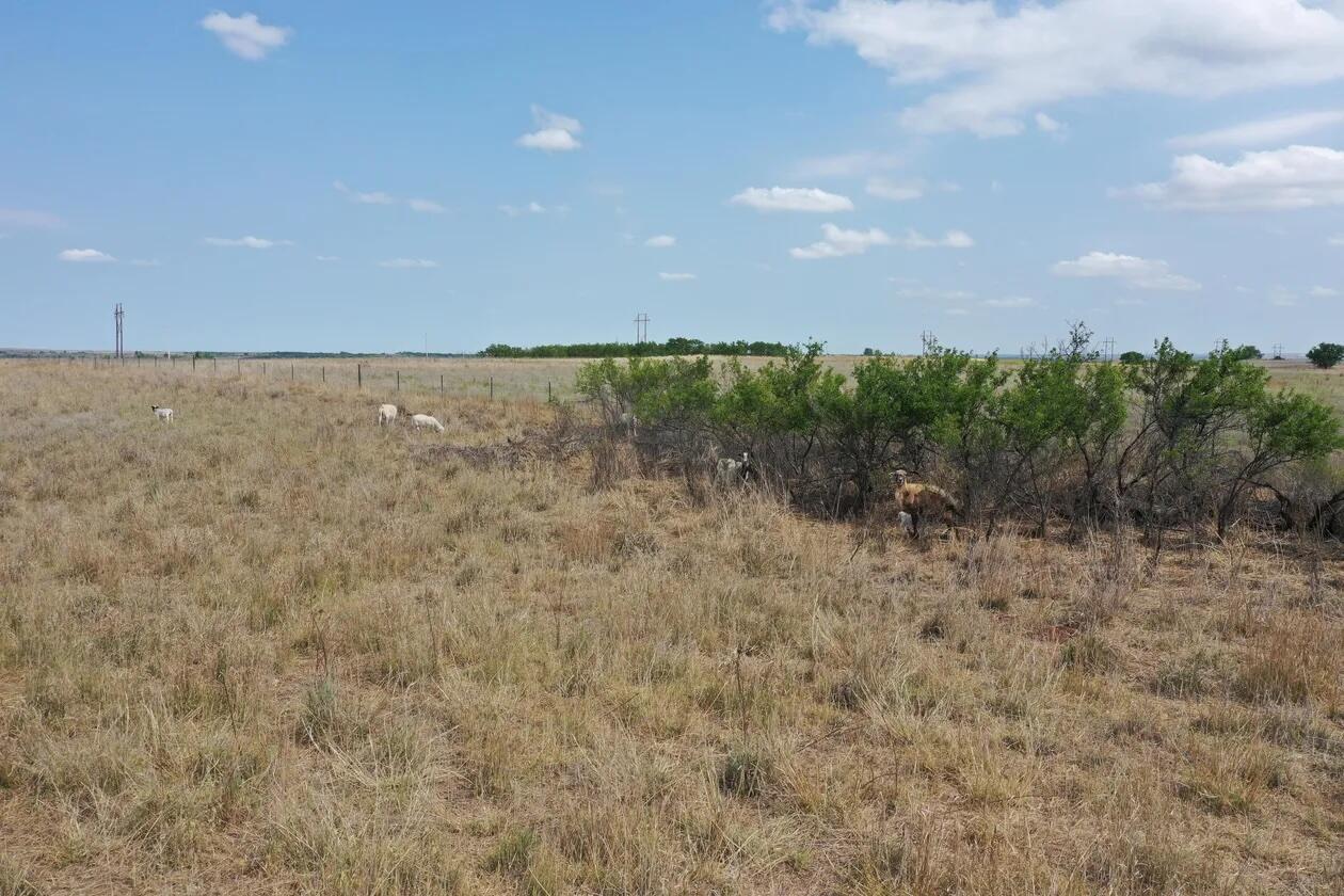 County Road Mobeetie, TX 79061 - Photo 27 of 27 1-5258395491