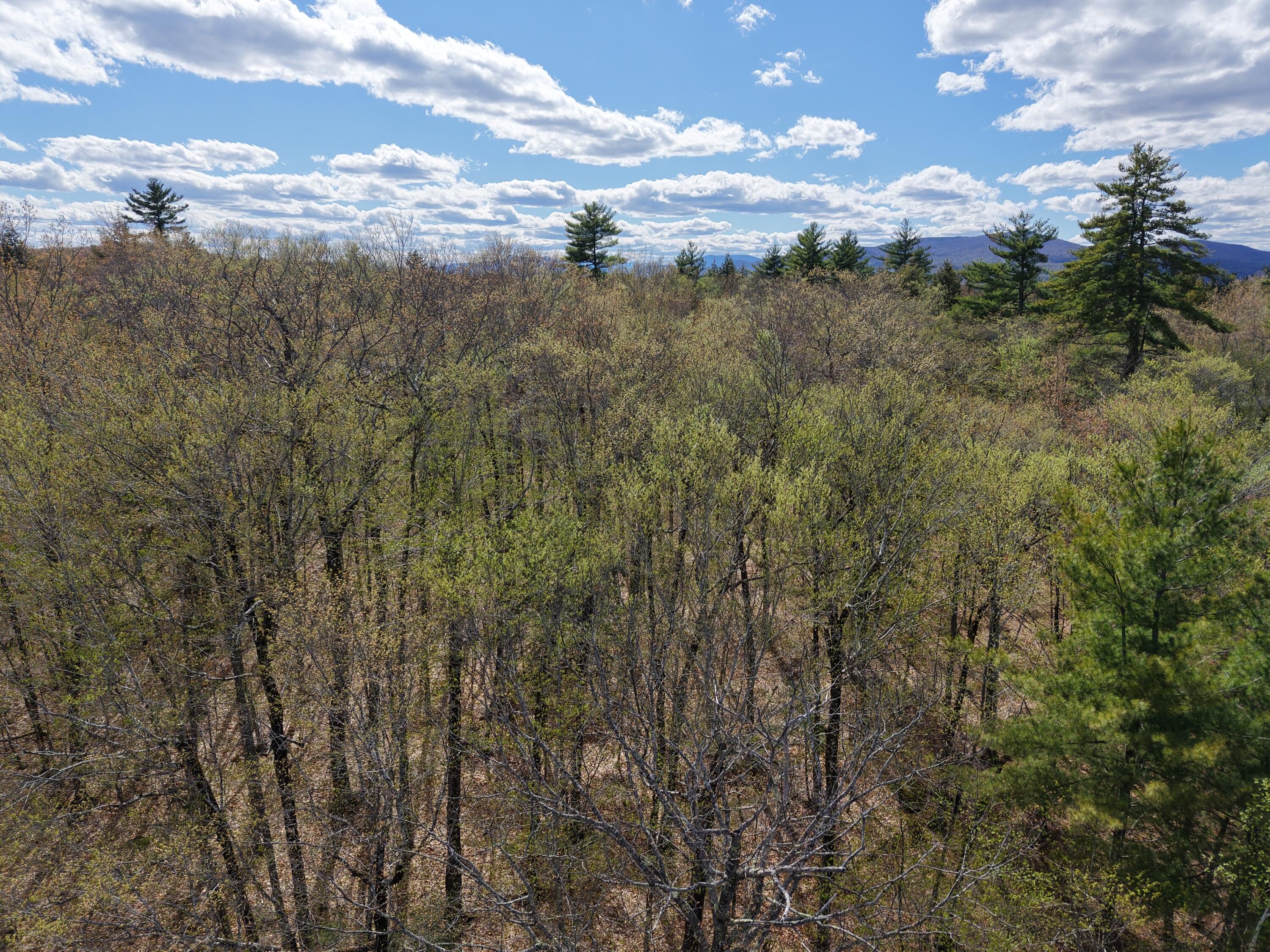 M10-l44 Mountain View Road Fryeburg, ME 04037 - Photo 6 of 36