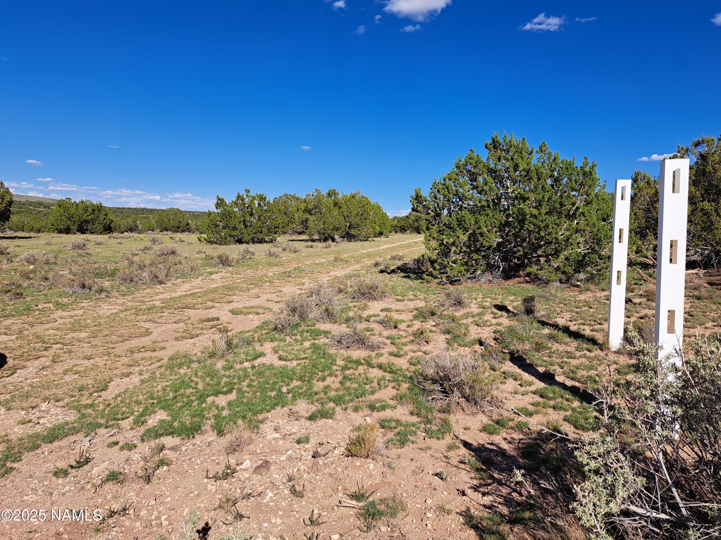 9835 Latigo Road Williams, AZ 86046 - Photo 1 of 7 a view of a yard