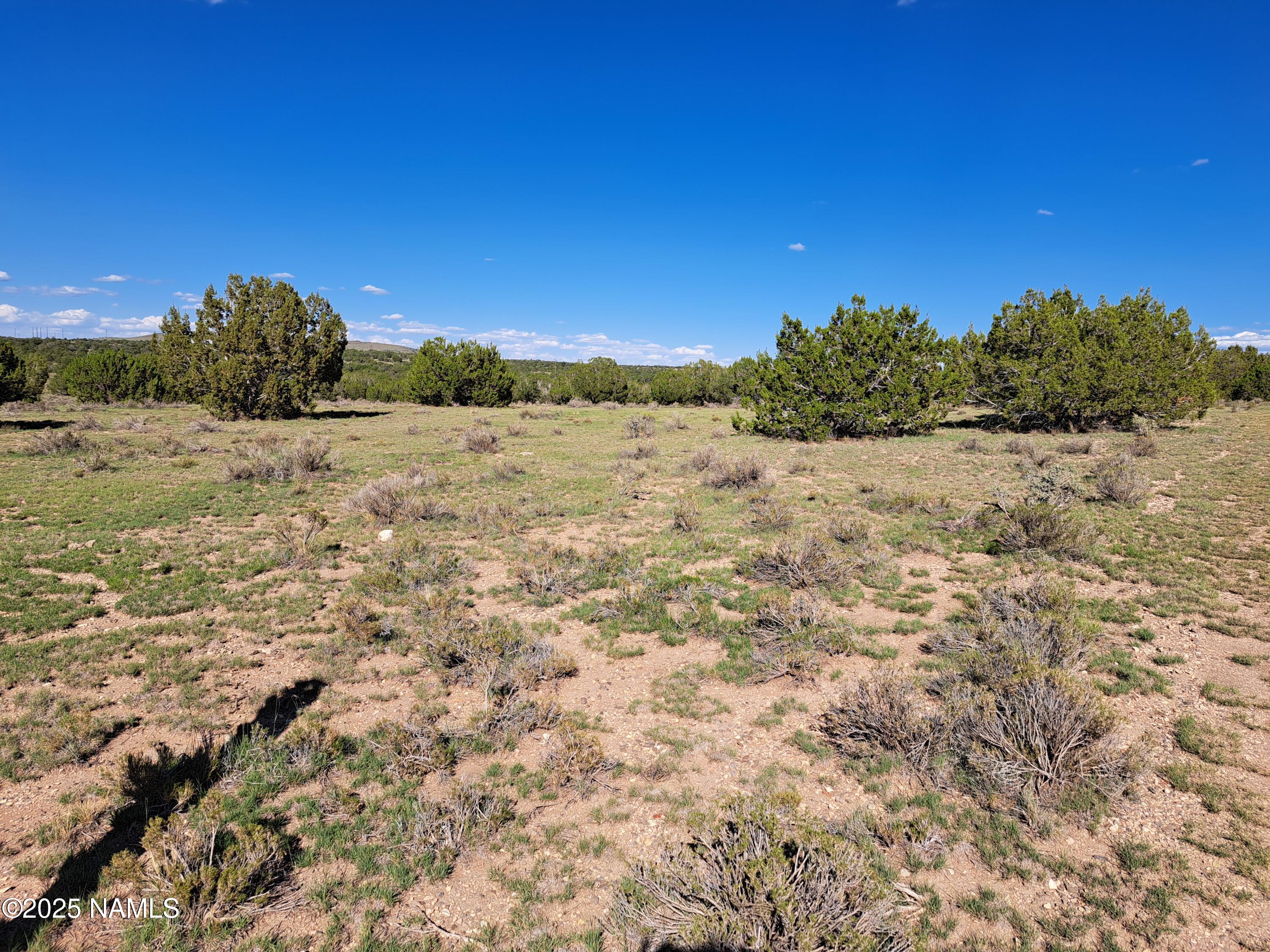 9835 Latigo Road Williams, AZ 86046 - Photo 3 of 7 a view of a dry yard with trees