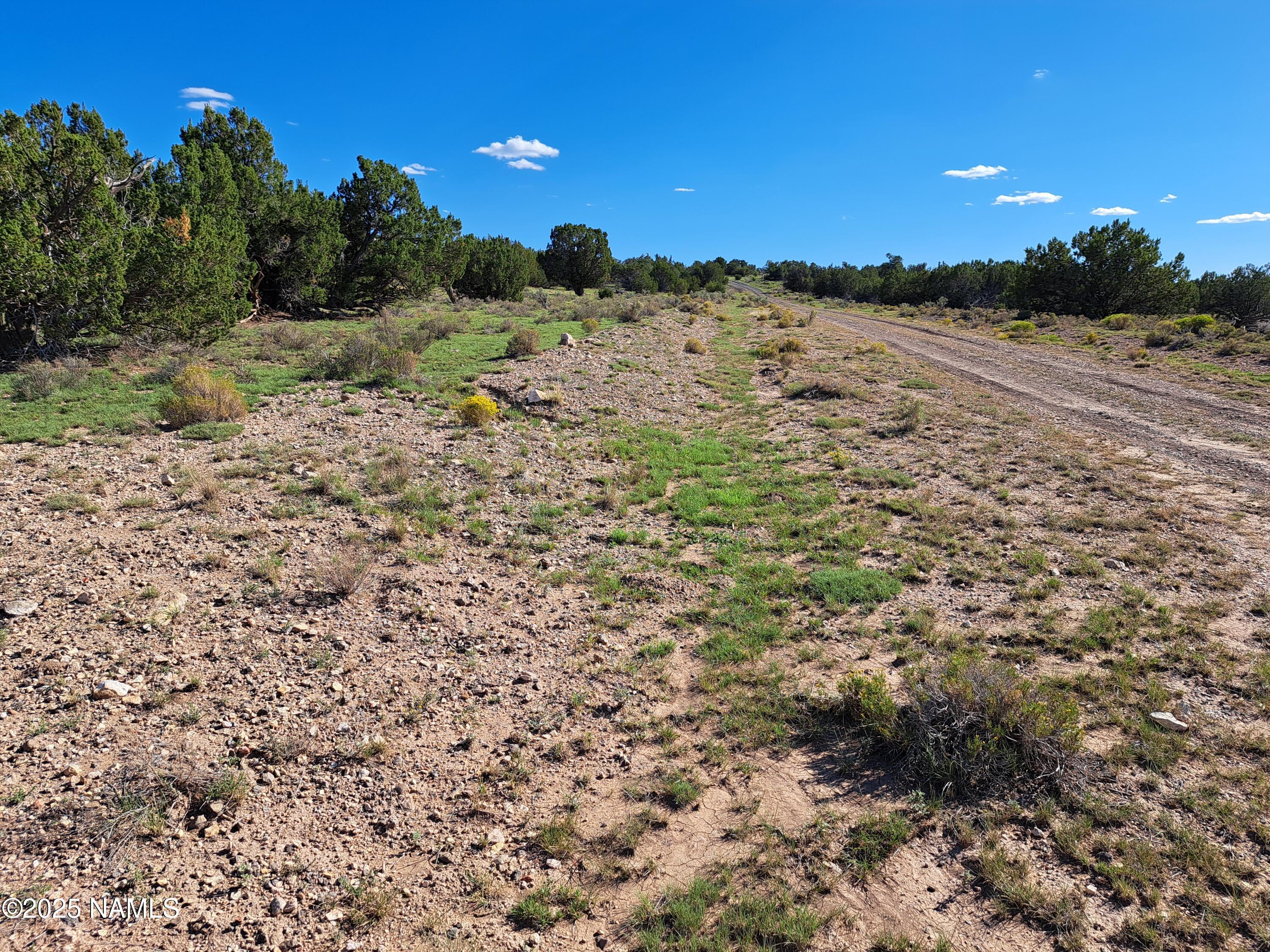 9835 Latigo Road Williams, AZ 86046 - Photo 6 of 7 a view of a lake with a mountain