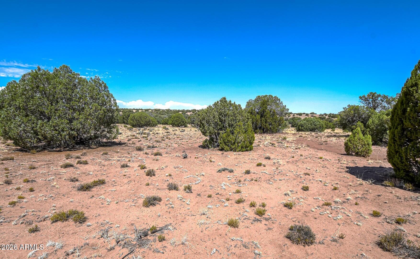 105 County Road Concho, AZ 85924 - Photo 13 of 15 105 County Rd N9191