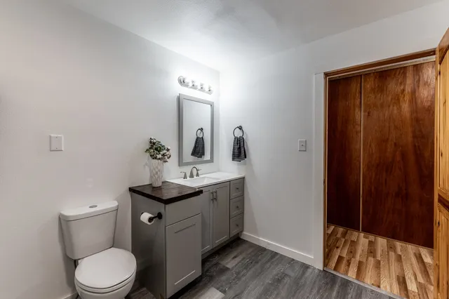 an outdoor space with lots of trees and flowers