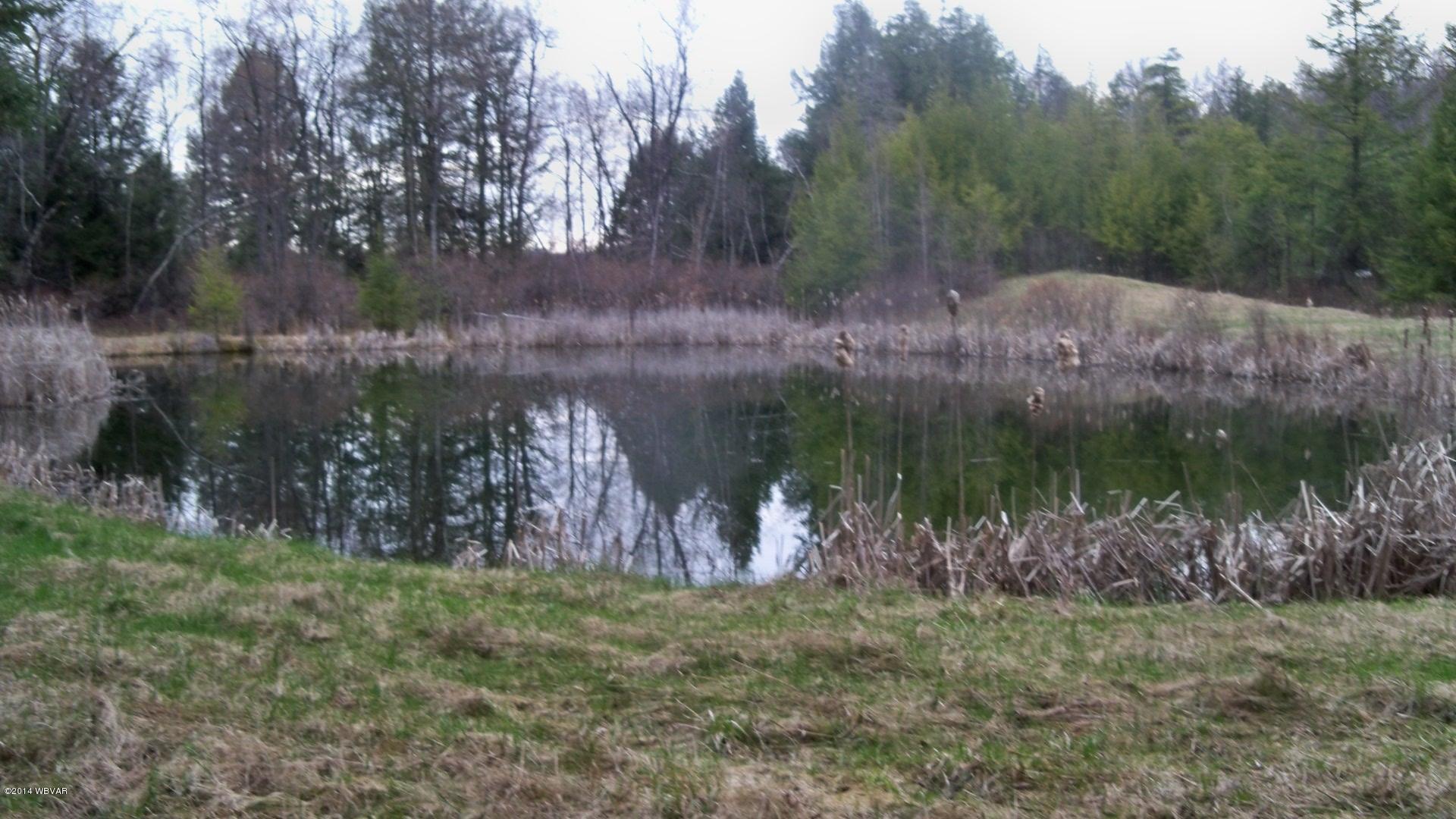 0 Browns Pond Road Dushore, PA 18614 - Photo 5 of 9 100_7818