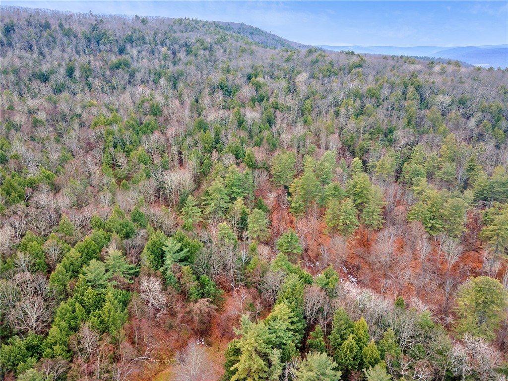 258 Engle Road Schoharie, NY 12157 - Photo 11 of 23 Gallery Image 11