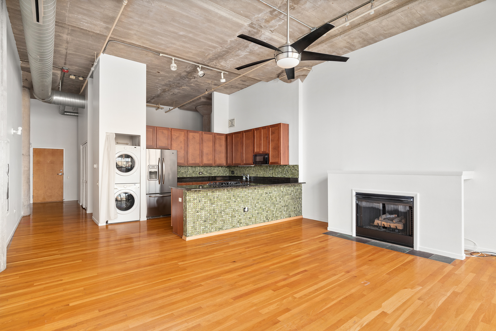 1727 South Indiana Avenue, Unit 319 Chicago, IL 60616 - Photo 13 of 21 a view of a livingroom with a fireplace