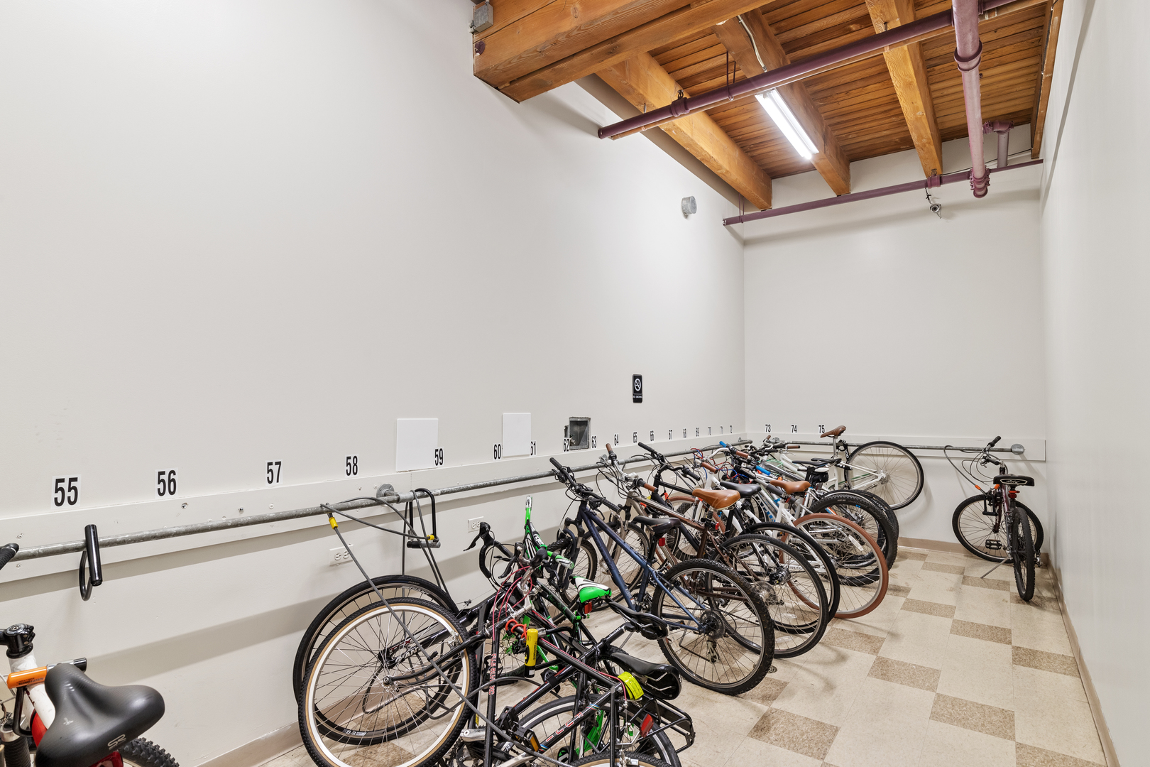 1727 South Indiana Avenue, Unit 319 Chicago, IL 60616 - Photo 21 of 21 a view of bike storage