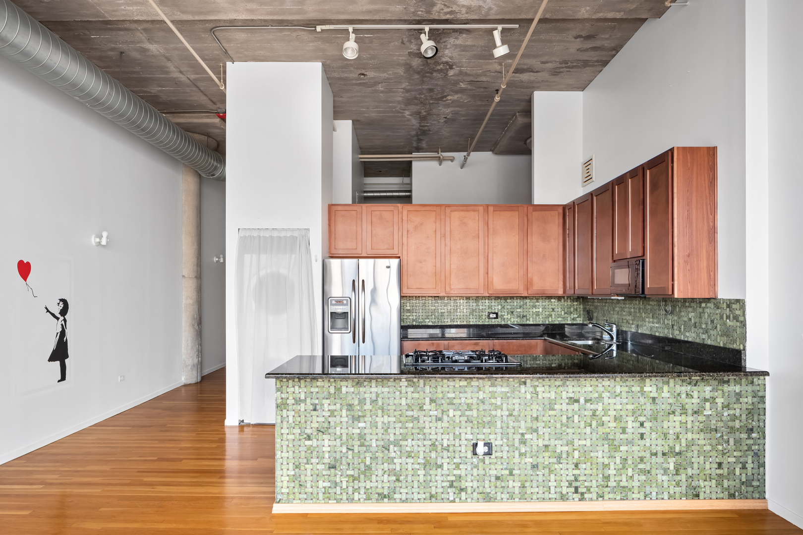1727 South Indiana Avenue, Unit 319 Chicago, IL 60616 - Photo 7 of 21