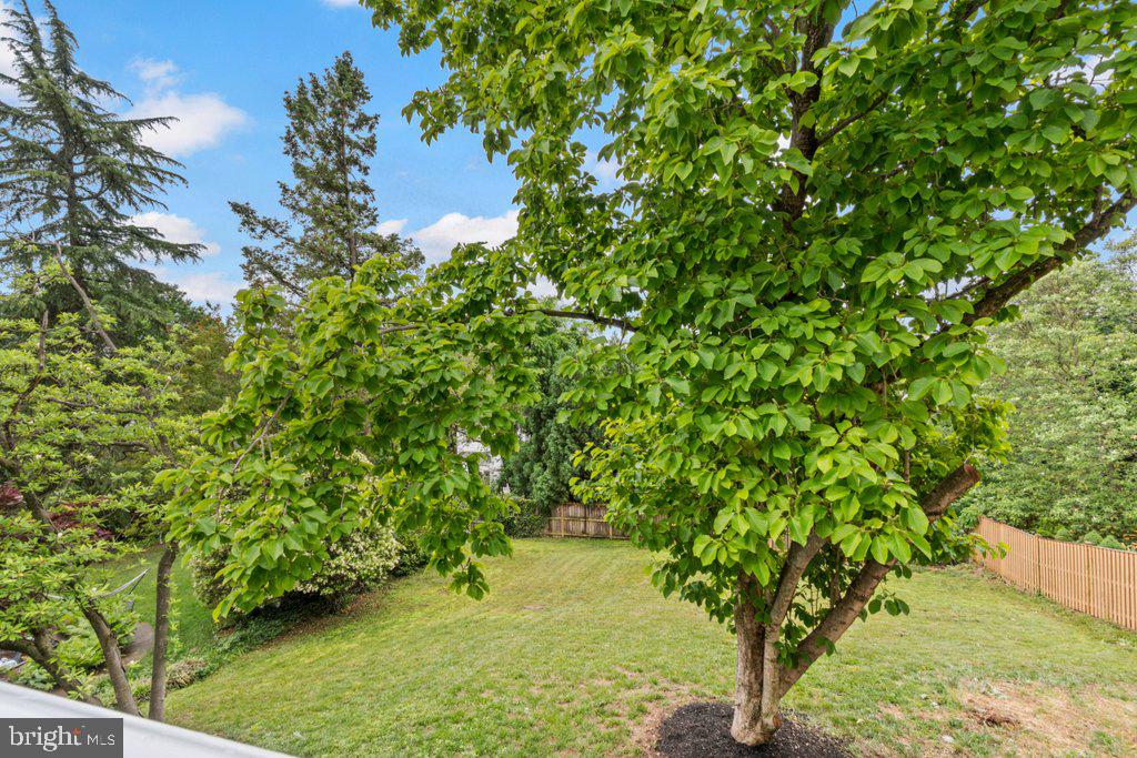 6002 Onondaga Road Bethesda, MD 20816 - Photo 66 of 70
