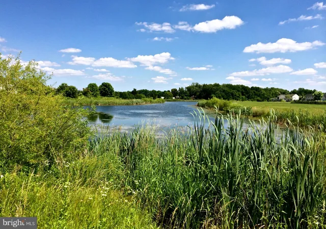 a view of lake with green space