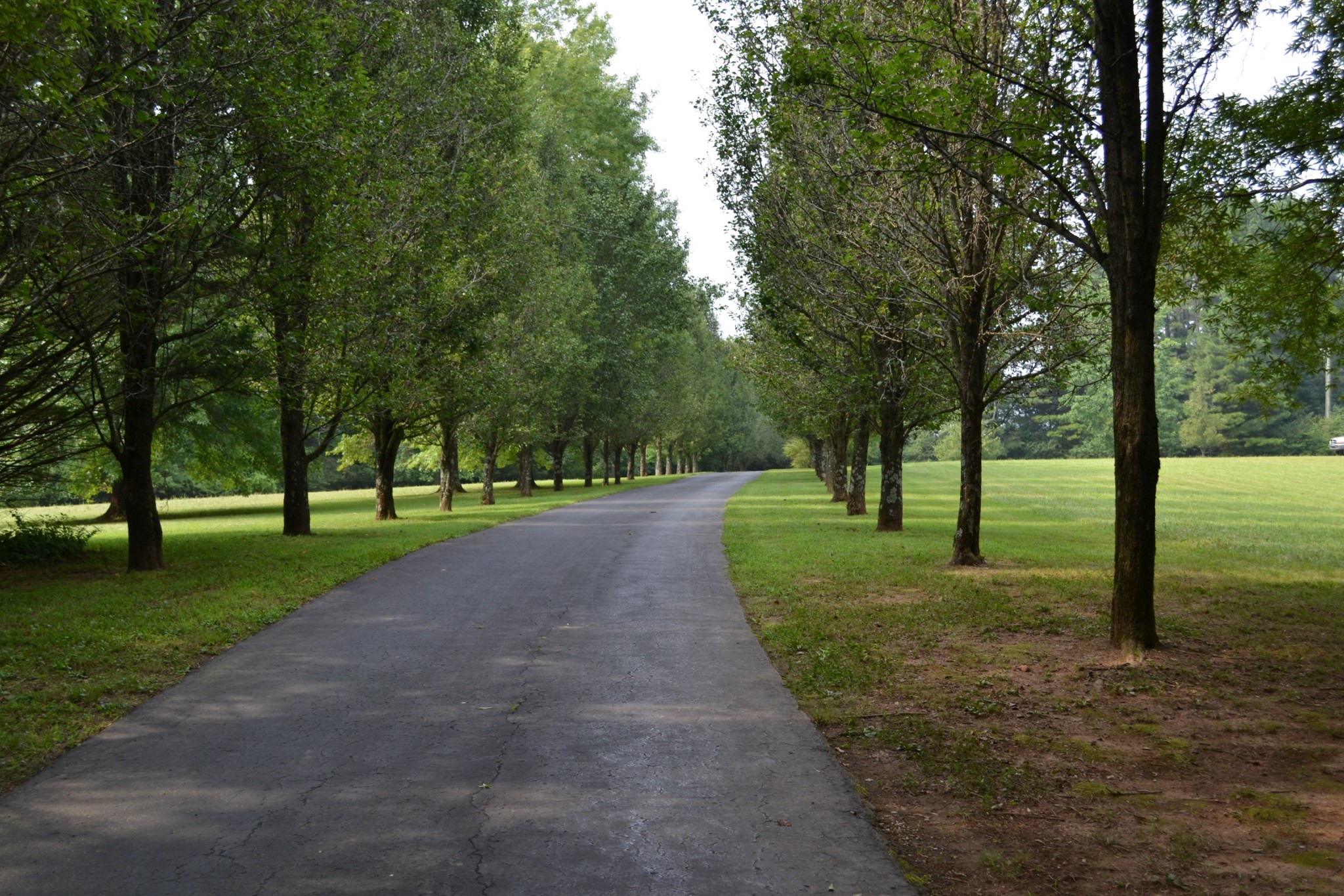 340 Shady Grove Road Flintville, TN 37335 - Photo 3 of 34 a view of a park with tree s