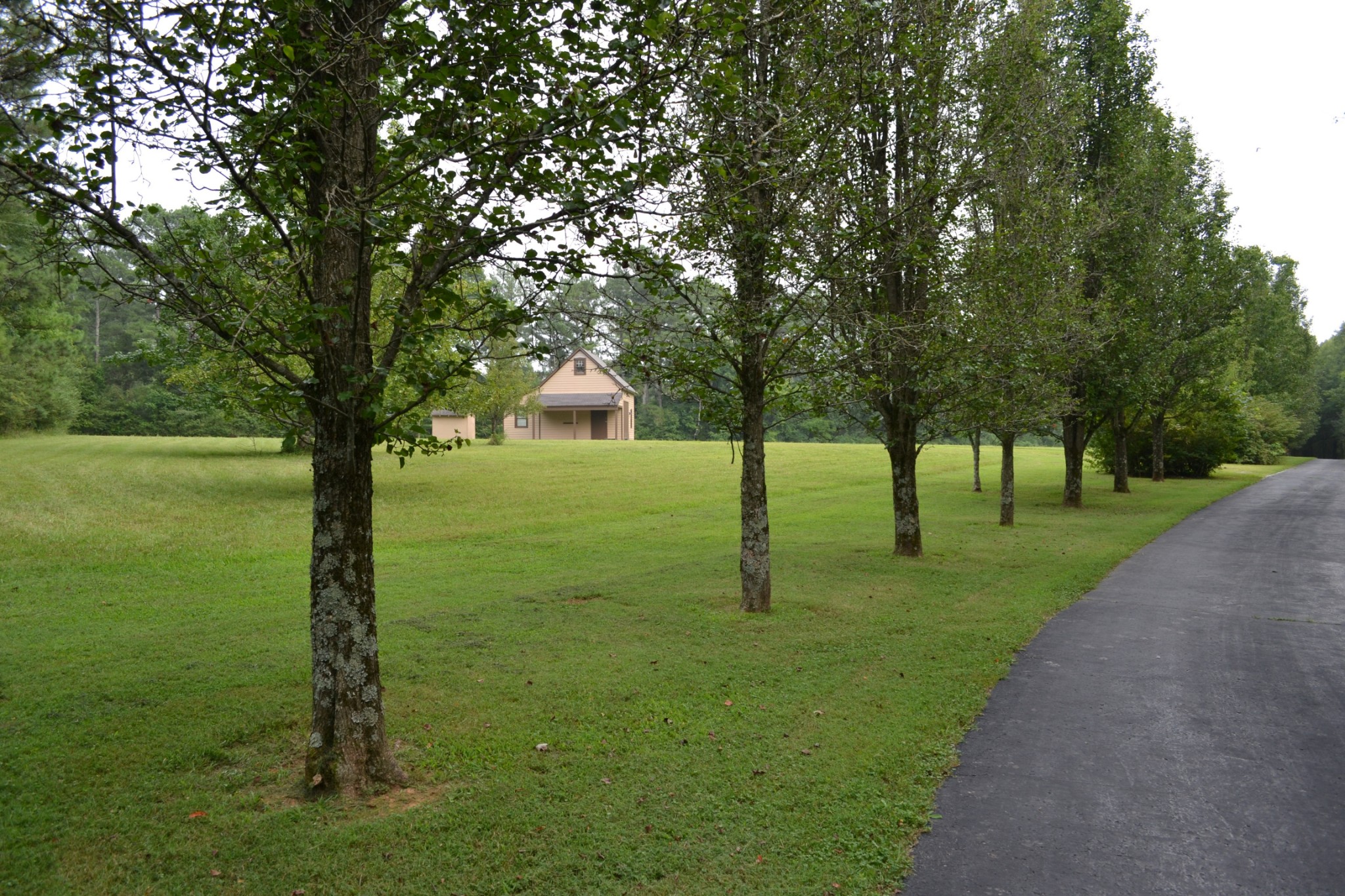340 Shady Grove Road Flintville, TN 37335 - Photo 28 of 34 a view of a trees with a yard