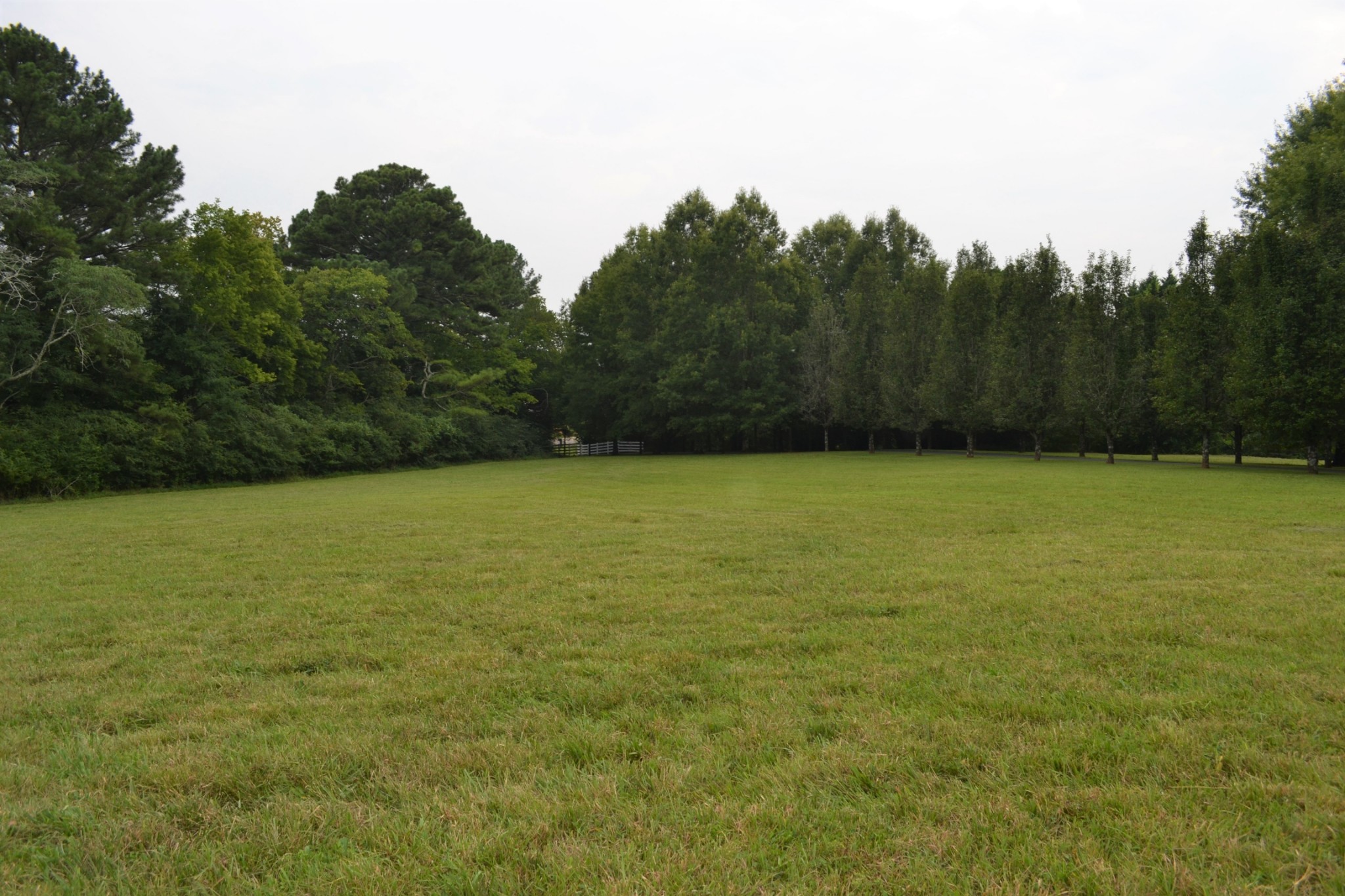 340 Shady Grove Road Flintville, TN 37335 - Photo 30 of 34 a view of a field with trees in the background