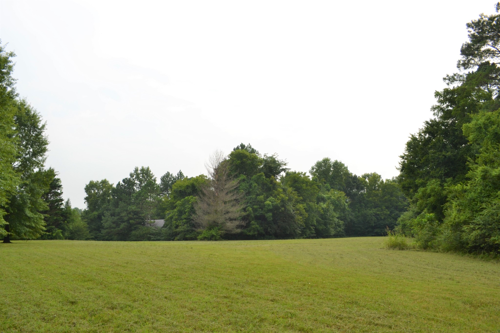 340 Shady Grove Road Flintville, TN 37335 - Photo 31 of 34 a view of outdoor space and yard