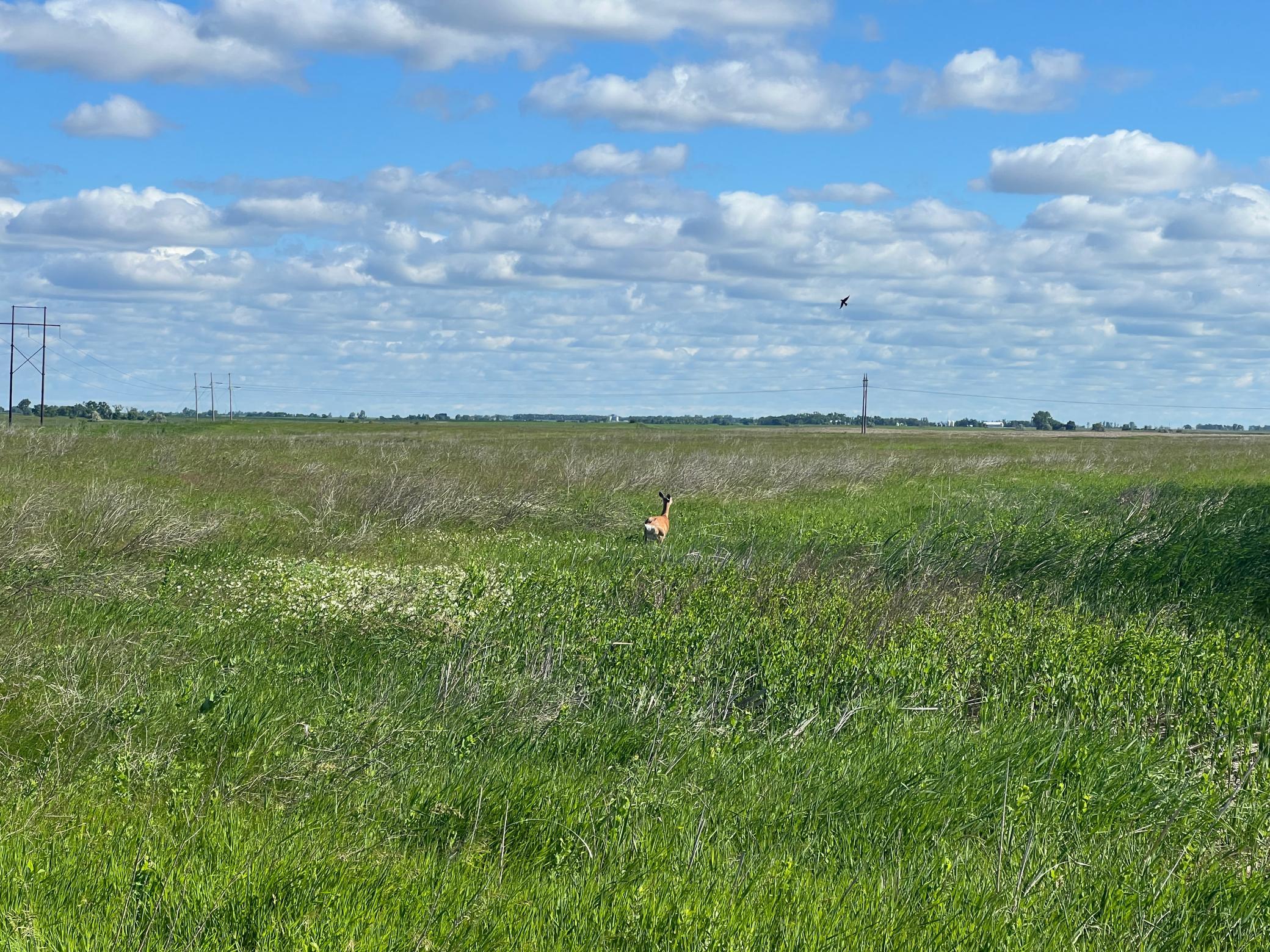 Tbd Southeast Tbd Se 90th Street Rutland, ND 58067 - Photo 58 of 105