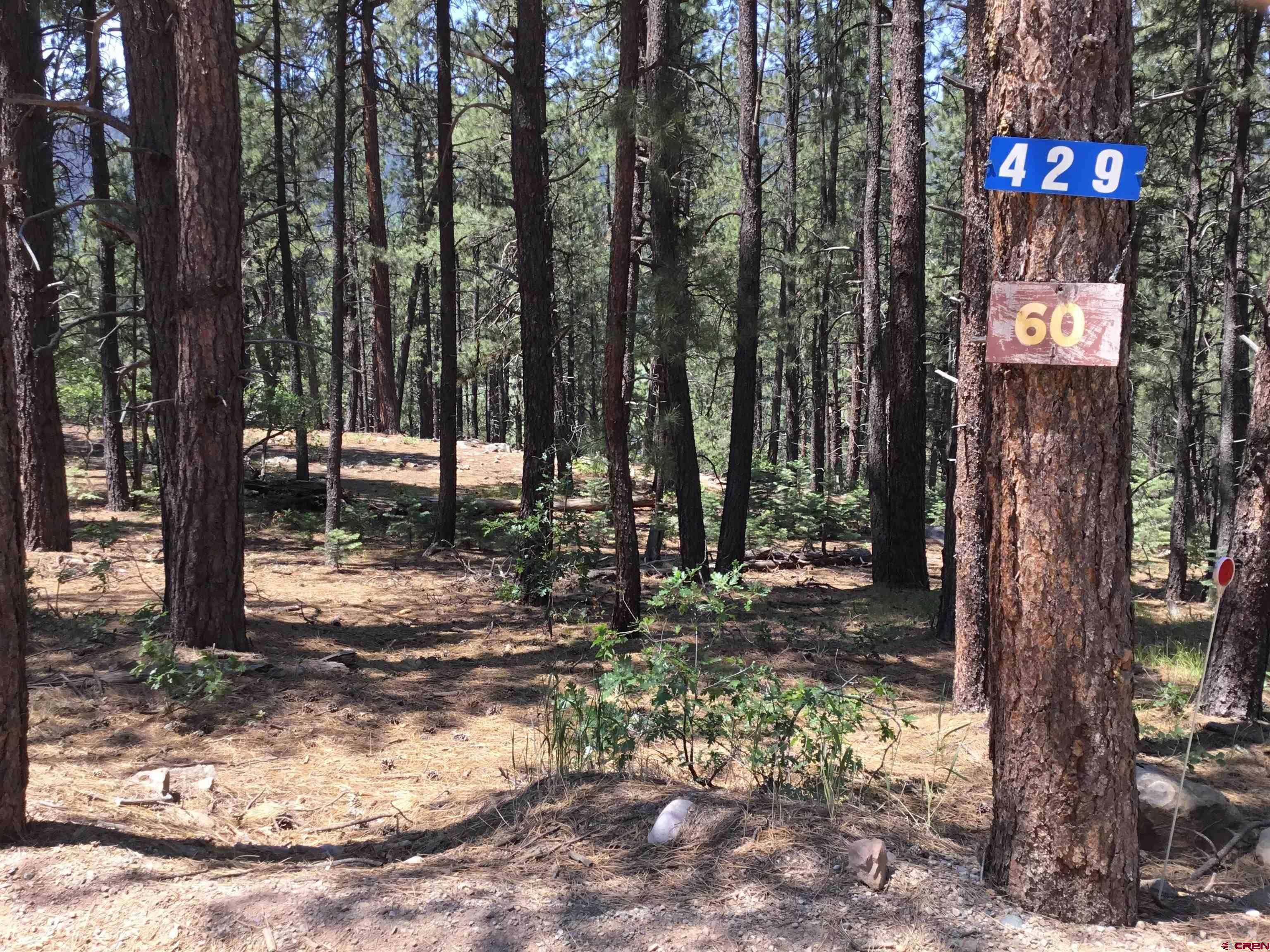 429 Enchanted Forest Bayfield, CO 81122 - Photo 14 of 16 a view of a park with trees