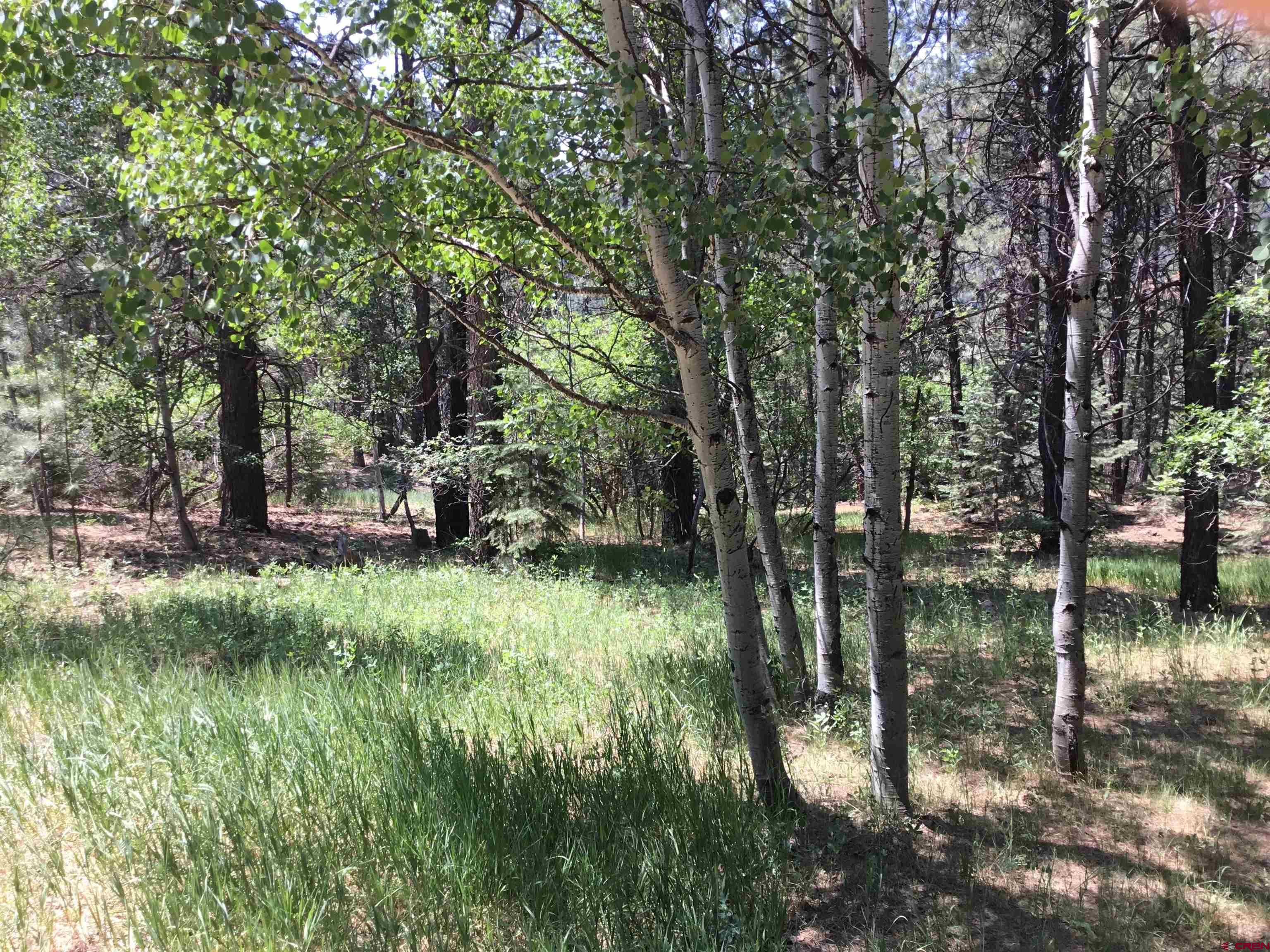 429 Enchanted Forest Bayfield, CO 81122 - Photo 4 of 16 a backyard of a house with lots of green space and fountain