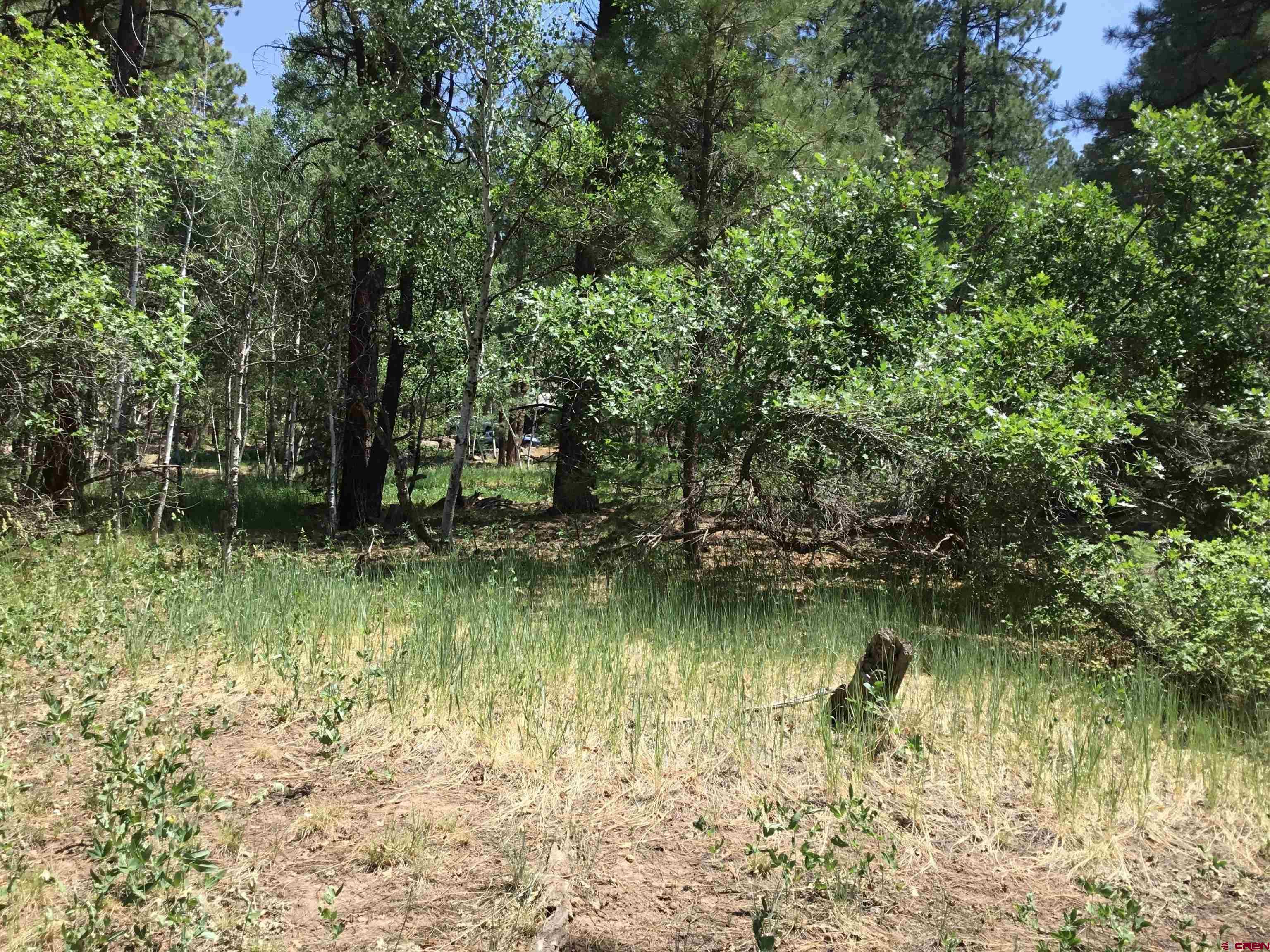 429 Enchanted Forest Bayfield, CO 81122 - Photo 10 of 16 a view of lake background