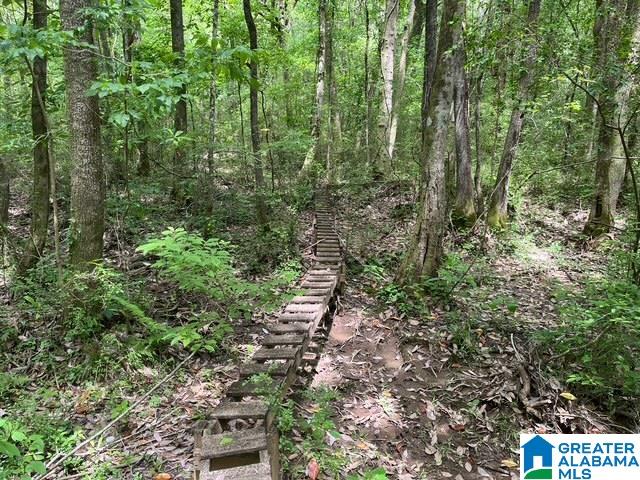 91 County Road Roanoke, AL 36274 - Photo 2 of 11 Gallery Image 2