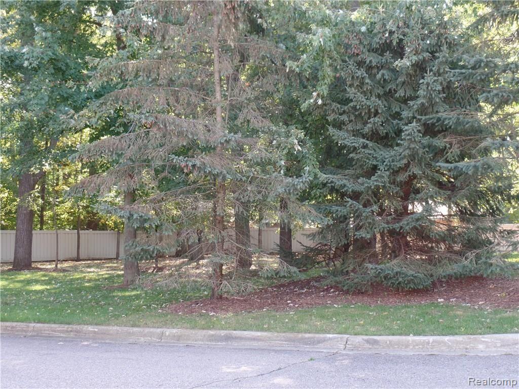 16896 Farmington Road, Unit 39 Livonia, MI 48154 - Photo 2 of 12 SAM_0419.JPG