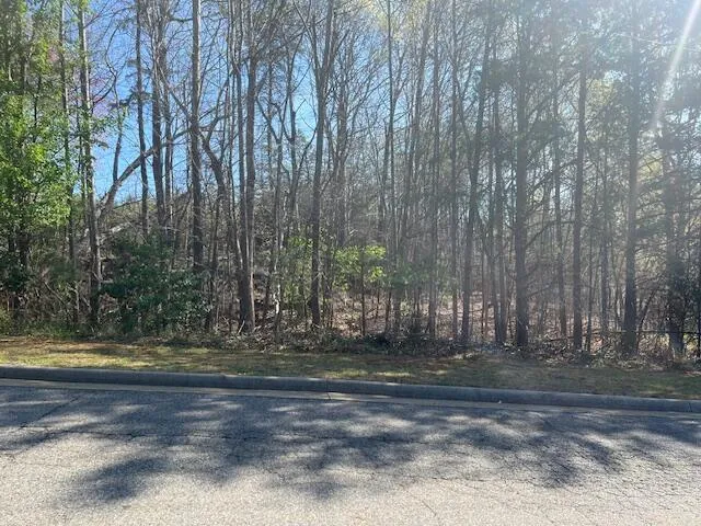 a view of a yard with large trees