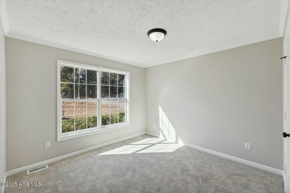 4411 Carthage Road West End, NC 27376 - Photo 23 of 26 tempImagepbl5Of