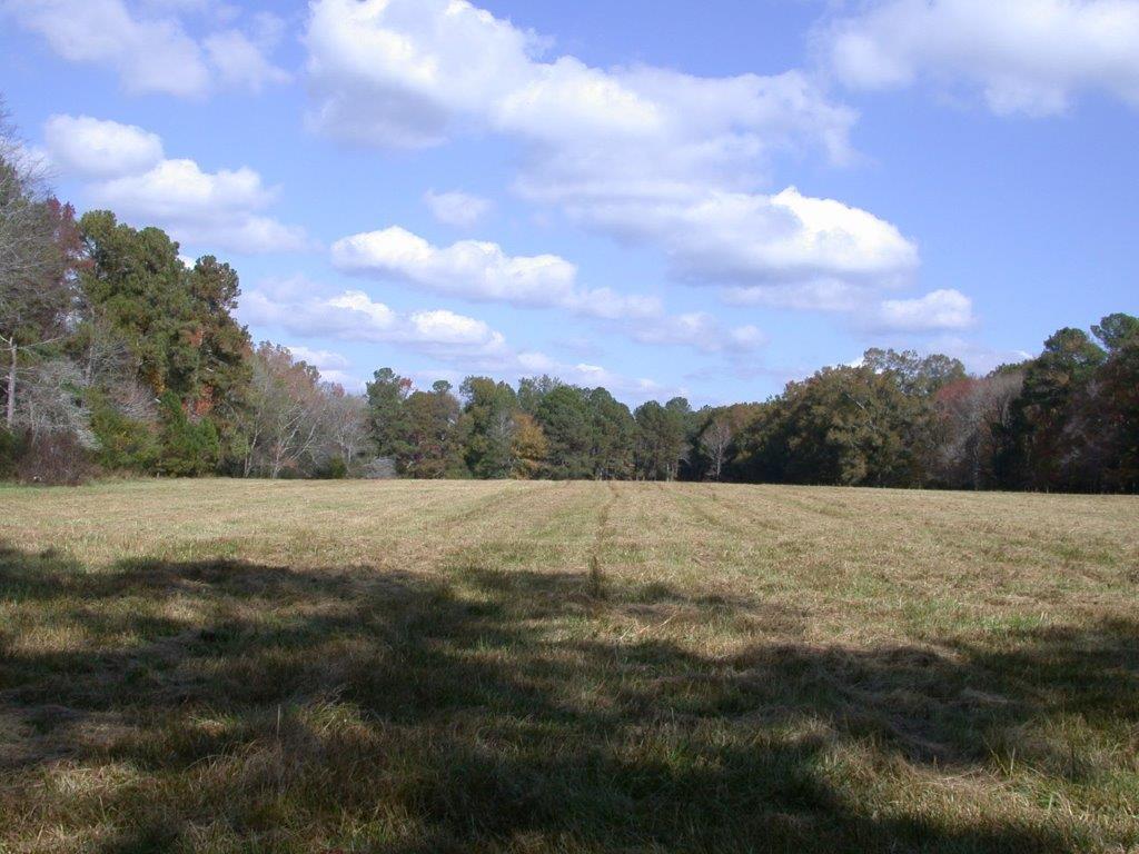 - Larkin Rice Road Saluda, SC 29138 - Photo 54 of 70