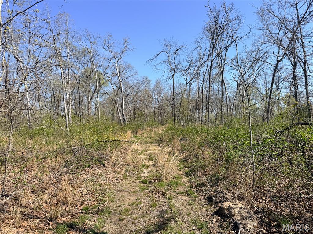 188.7 North Service Road West Sullivan, MO 63080 - Photo 44 of 66 Gallery Image 44