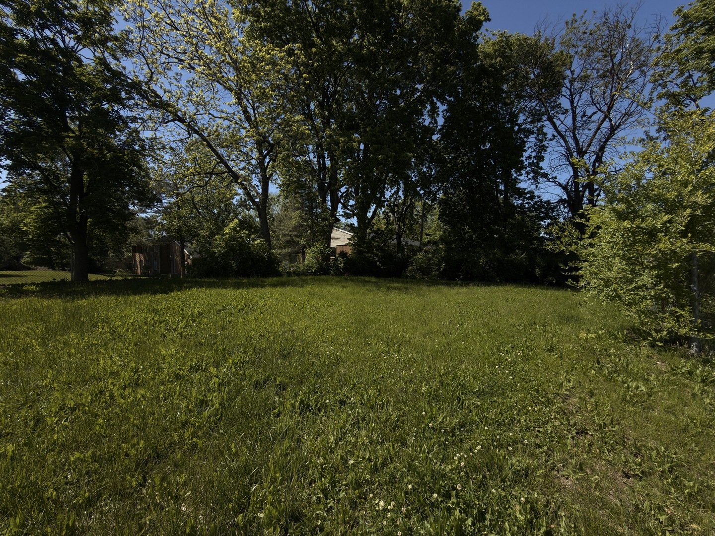911 West Front Street Bloomington, IL 61701 - Photo 3 of 5 a view of yard with green space