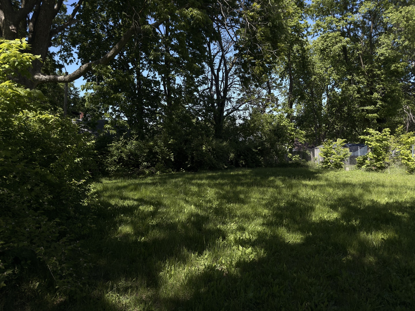911 West Front Street Bloomington, IL 61701 - Photo 5 of 5 a view of outdoor space and yard