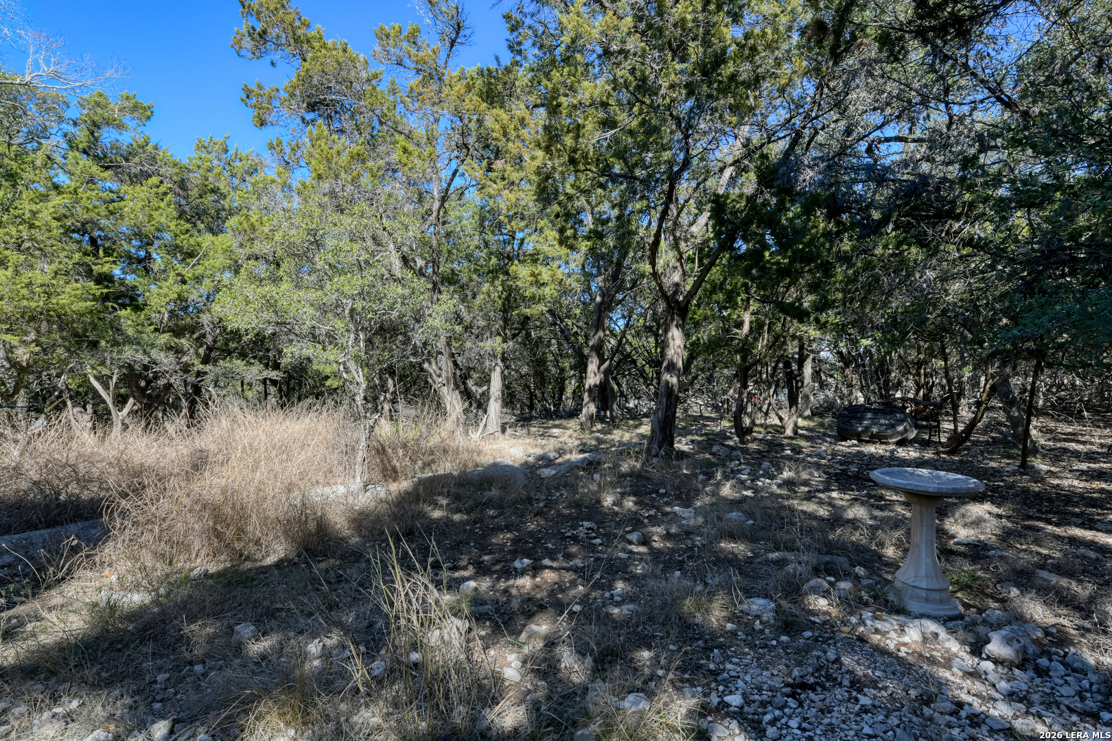994 Windmill Ranch Road Spring Branch, TX 78070 - Photo 32 of 33