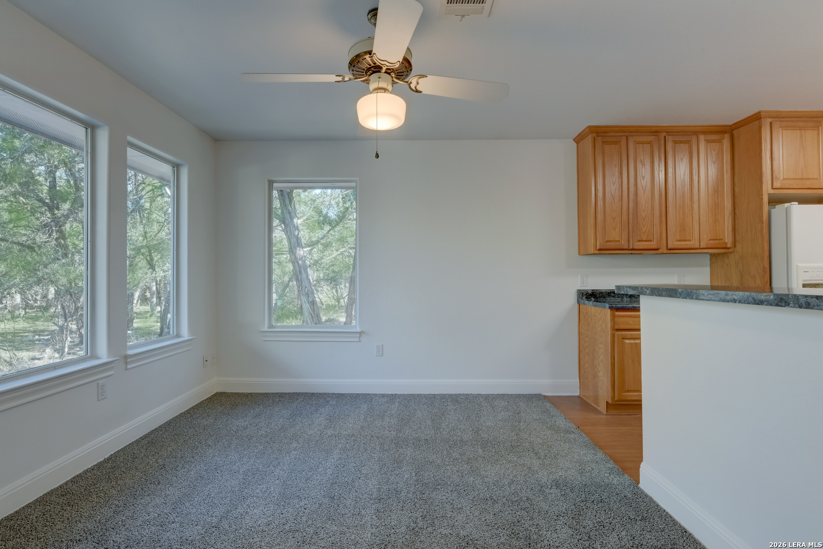 994 Windmill Ranch Road Spring Branch, TX 78070 - Photo 9 of 33