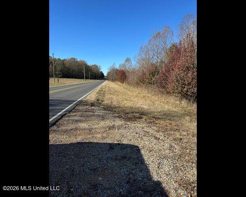 Cayce Road Byhalia, MS 38611 - Photo 7 of 35 IMG_0832