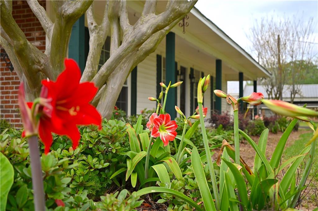 134 Backstep Road Plaucheville, LA 71362 - Photo 3 of 23 Gallery Image 3