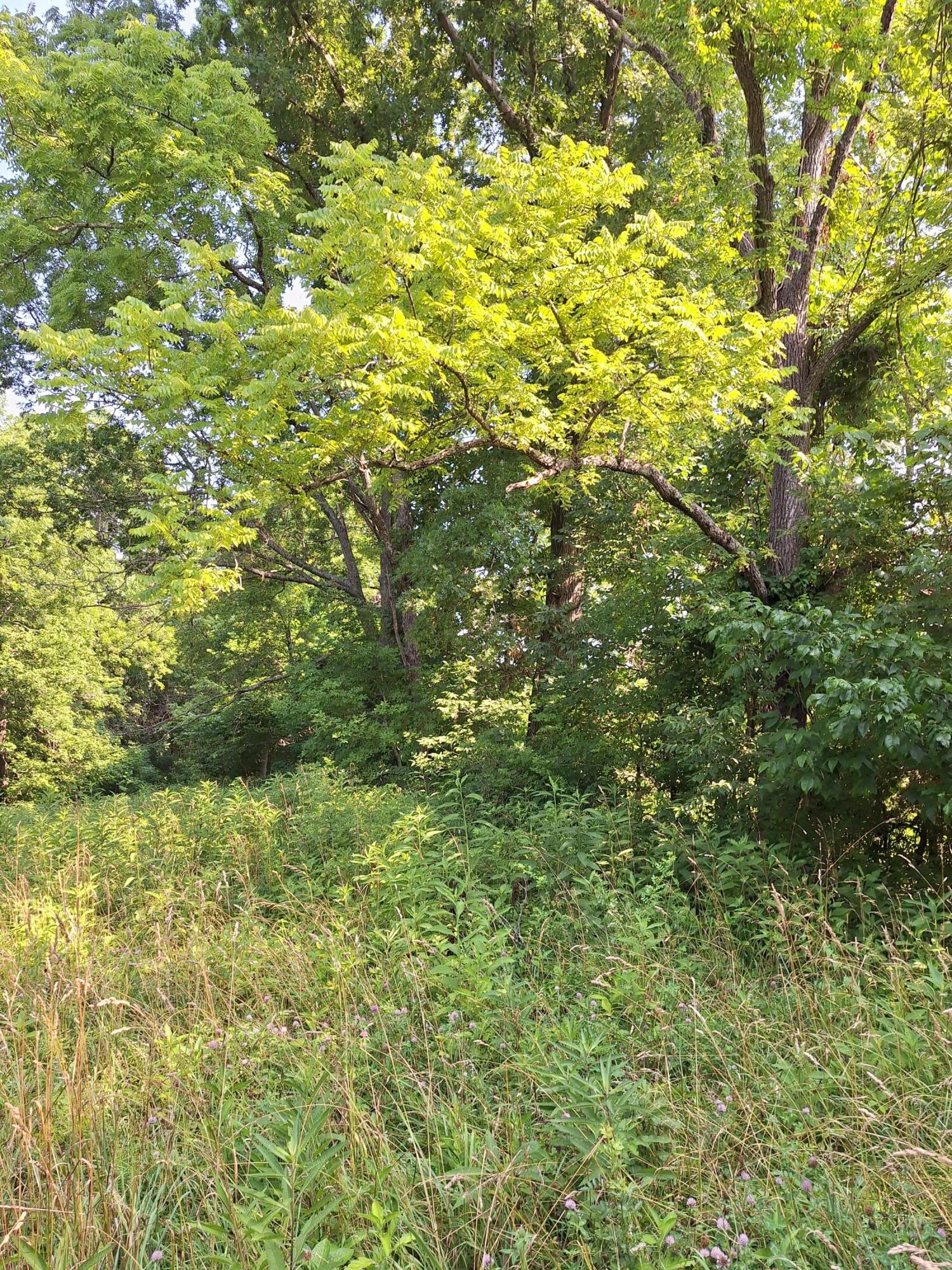405 Robinson Road Cynthiana, KY 41031 - Photo 15 of 25 Gallery Image 15