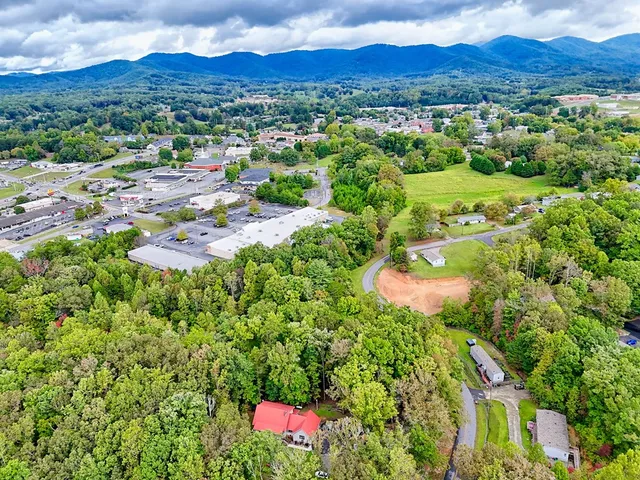 a view of a livingroom with furniture window and wooden floor