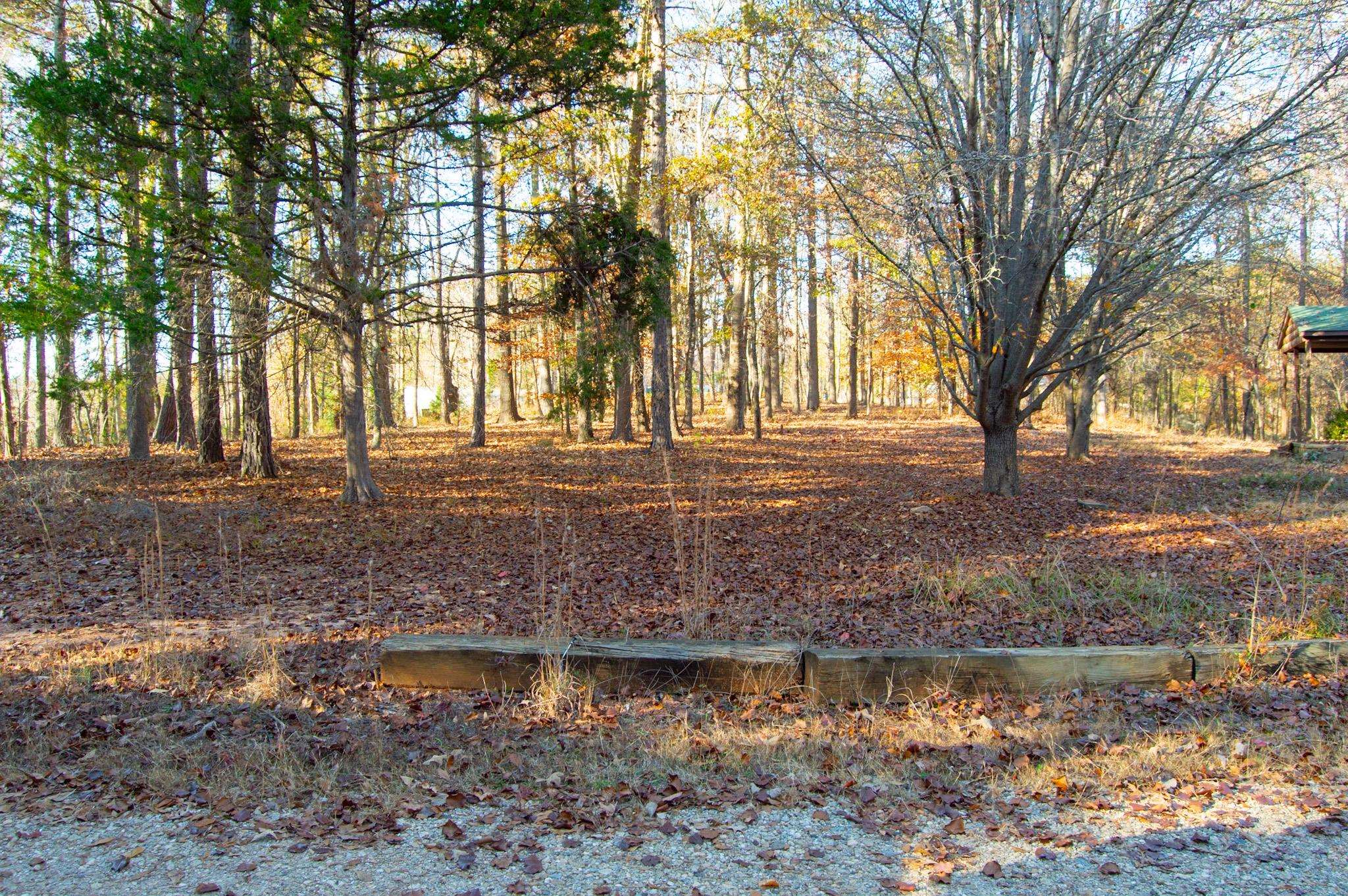 455 Round Tree Road Gaffney, SC 29340 - Photo 31 of 31 Gallery Image 31