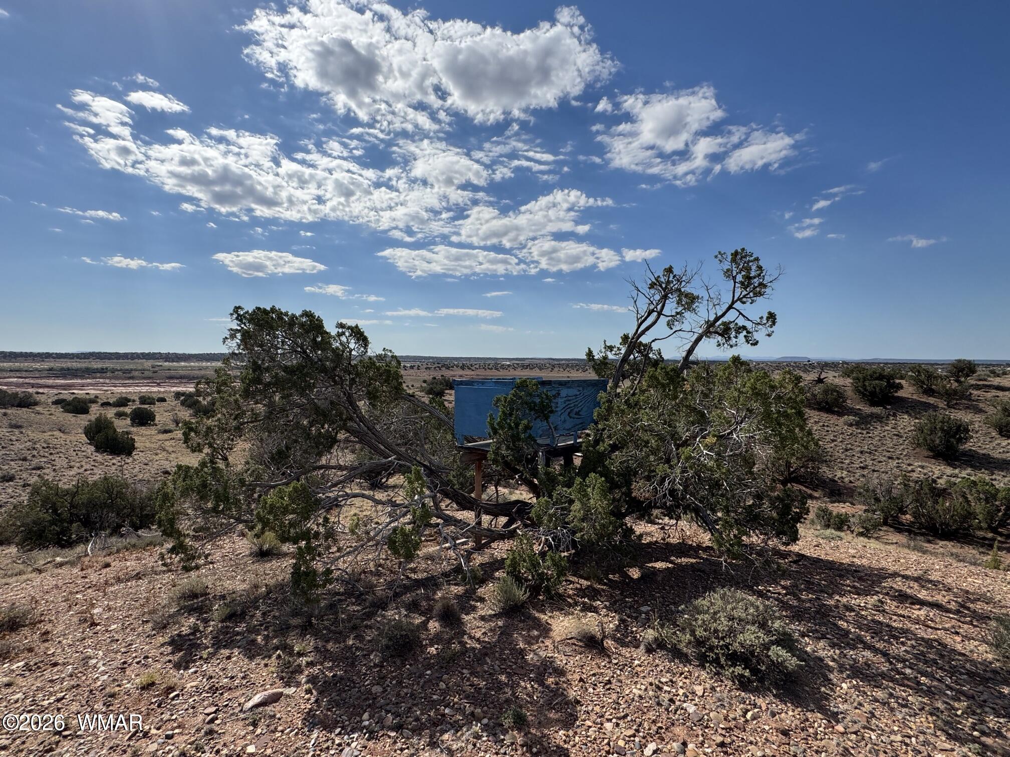 9463 Uttecht Trail Snowflake, AZ 85937 - Photo 49 of 50