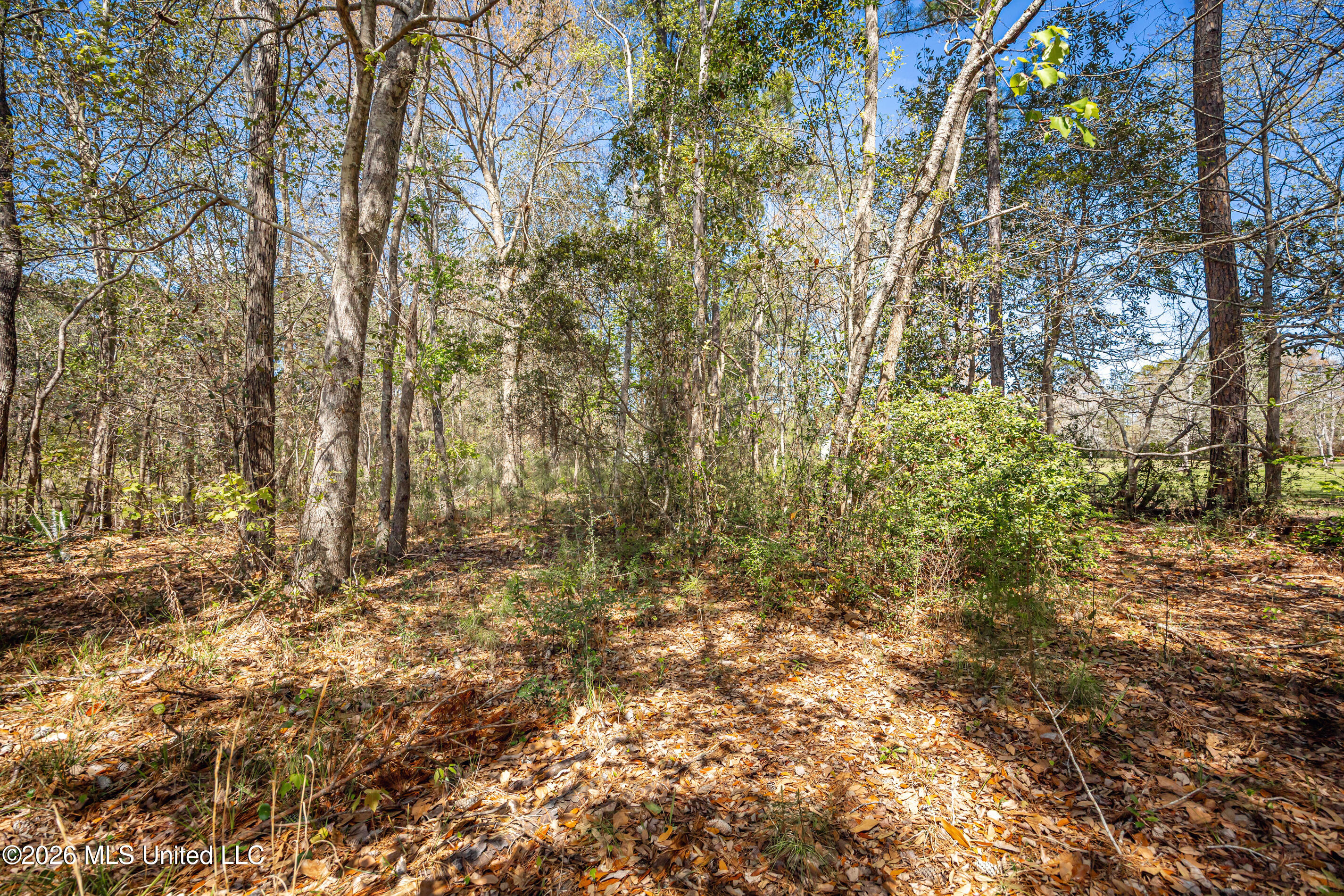 14804 Parker Road Biloxi, MS 39532 - Photo 44 of 52 IMG_1190