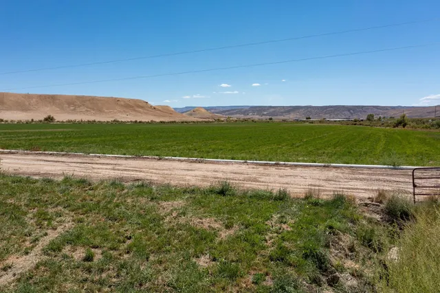 a view of a green field with mountains in the background